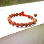 5 Mukhi Rudraksha Bracelet, 5 मुखी रुद्राक्ष ब्रेसलेट, Five Face Rudraksha Bracelet