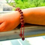 5 Mukhi Rudraksha Bracelet, 5 मुखी रुद्राक्ष ब्रेसलेट, Five Face Rudraksha Bracelet