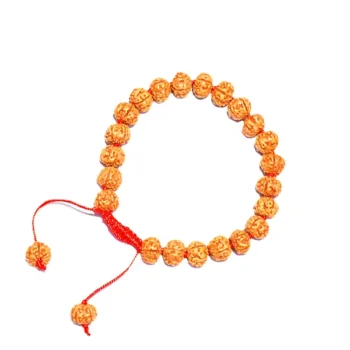 5 Mukhi Rudraksha Bracelet, 5 मुखी रुद्राक्ष ब्रेसलेट, Five Face Rudraksha Bracelet