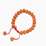 6 Mukhi Rudraksha Bracelet, Six Face Rudraksha Bracelet, 6 मुखी रुद्राक्ष ब्रेसलेट