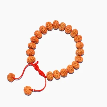 6 Mukhi Rudraksha Bracelet, Six Face Rudraksha Bracelet, 6 मुखी रुद्राक्ष ब्रेसलेट