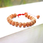 6 Mukhi Rudraksha Bracelet, Six Face Rudraksha Bracelet, 6 मुखी रुद्राक्ष ब्रेसलेट