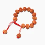 7 Mukhi Rudraksha Bracelet, 7 मुखी रुद्राक्ष ब्रेसलेट, Seven Face Rudraksha Bracelet