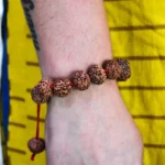 7 Mukhi Rudraksha Bracelet, 7 मुखी रुद्राक्ष ब्रेसलेट, Seven Face Rudraksha Bracelet