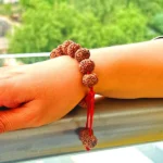 7 Mukhi Rudraksha Bracelet, 7 मुखी रुद्राक्ष ब्रेसलेट, Seven Face Rudraksha Bracelet