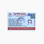 7 Mukhi Rudraksha Bracelet, 7 मुखी रुद्राक्ष ब्रेसलेट, Seven Face Rudraksha Bracelet