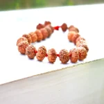 9 Mukhi Rudraksha Bracelet, 9 मुखी रुद्राक्ष ब्रेसलेट, Nine Face Rudraksha Bracelet