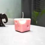 Cheese Shaped Candle (चीस शेप मोमबत्ती)