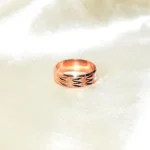 Copper Ring (तांबे की अंगूठी)