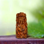 Haldi Ganesh (हल्दी गणेश)