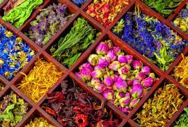 Herbs Store