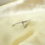 Trishul Tilak Stamp (त्रिशूल तिलक मोहर)