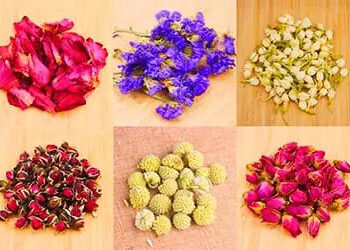 Dry Flowers