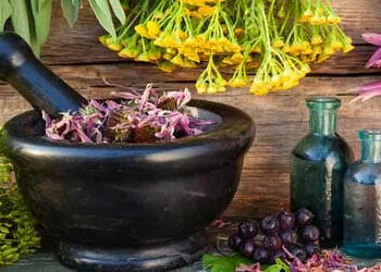 Herbs