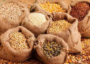 Herbs Seed