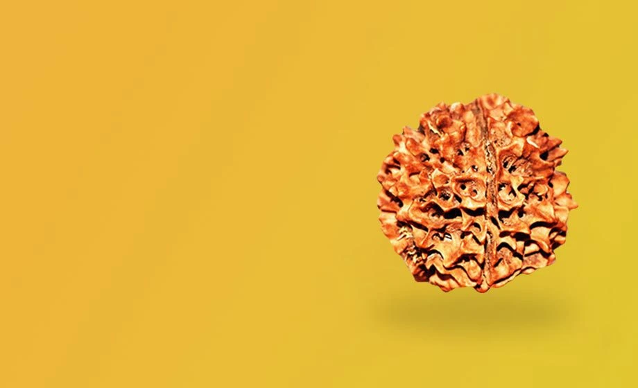 Rudraksha Beads Astro Mantra