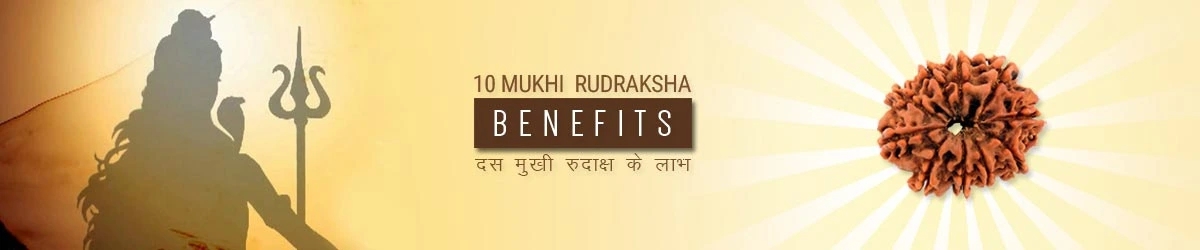 10 Mukhi Rudraksha Benefits, दस मुखी रुद्राक्ष लाभ