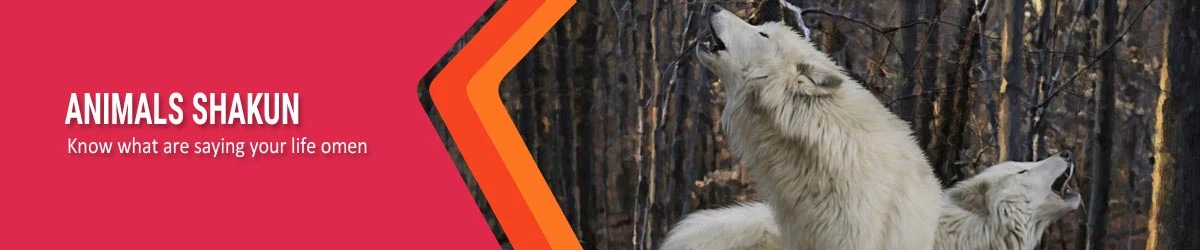 Animals Shakun 3, जानवरों के शकुन