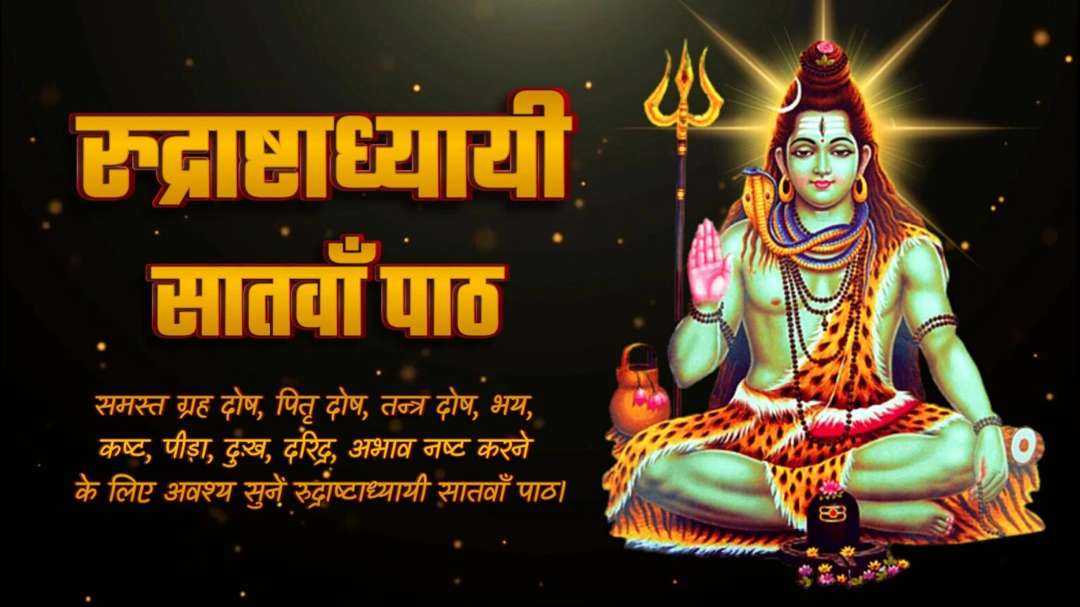 Rudrashtadhyayi Path 7 | रुद्राष्टाध्यायी सातवाँ पाठ