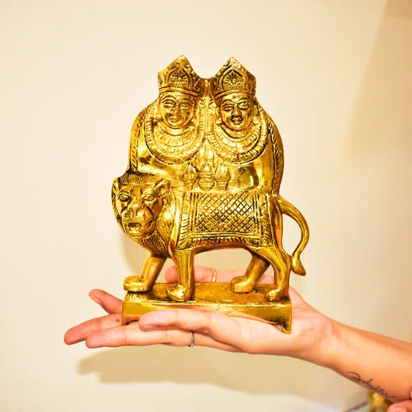 Chamunda Mata Murti