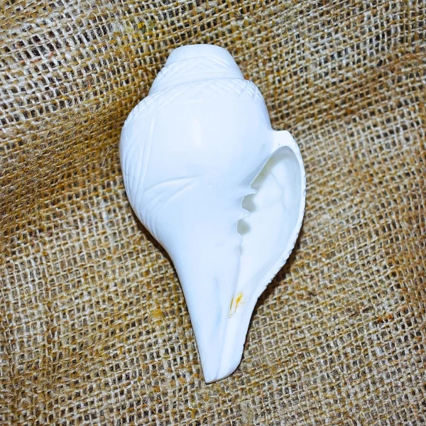 Blowing Shankh