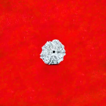 Parad Rudraksha, पारद रुद्राक्ष