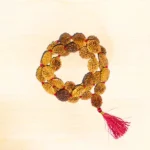 2 Mukhi Rudraksha Mala, 2 मुखी रुद्राक्ष माला