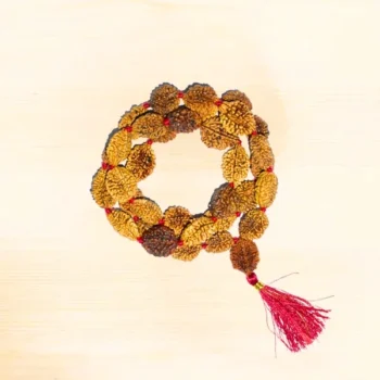 2 Mukhi Rudraksha Mala, 2 मुखी रुद्राक्ष माला