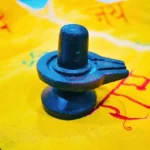 Narmadeshwar Shivlingam, नर्मदेश्वर शिवलिंगम