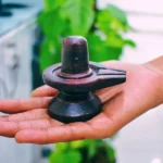 Narmadeshwar Shivlingam, नर्मदेश्वर शिवलिंगम