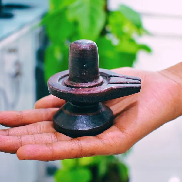 Narmadeshwar Shivlingam, नर्मदेश्वर शिवलिंगम