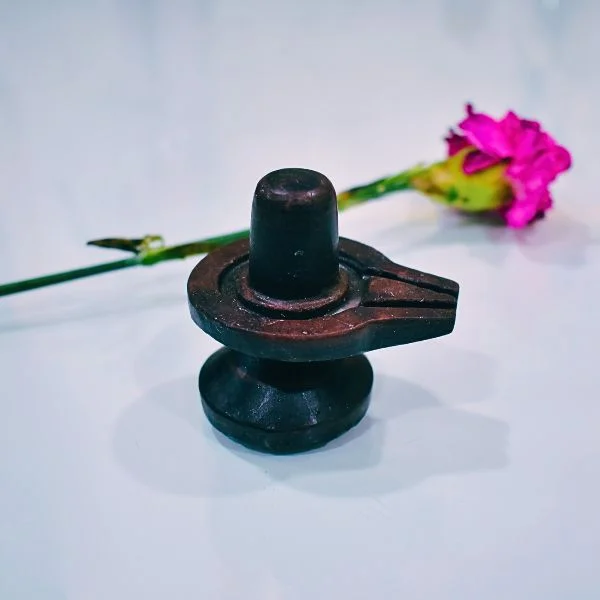 Narmadeshwar Shivlingam, नर्मदेश्वर शिवलिंगम