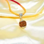6 Mukhi Rudraksha Locket, 6 मुखी रुद्राक्ष लॉकेट