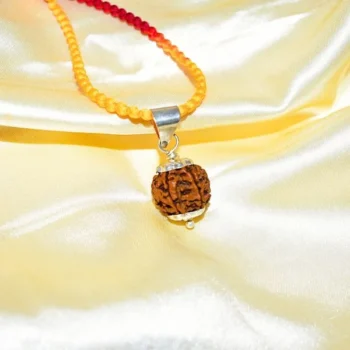 6 Mukhi Rudraksha Locket, 6 मुखी रुद्राक्ष लॉकेट