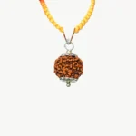 6 Mukhi Rudraksha Locket, 6 मुखी रुद्राक्ष लॉकेट