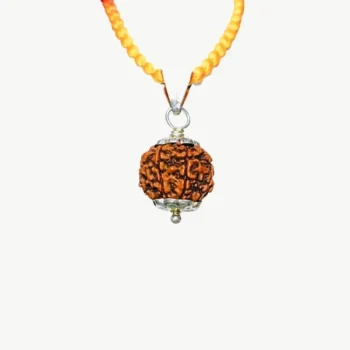 6 Mukhi Rudraksha Locket, 6 मुखी रुद्राक्ष लॉकेट