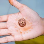 7 Mukhi Rudraksha Beads, 7 मुखी रुद्राक्ष