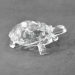 Crystal Kachua, स्फटिक कछुआ