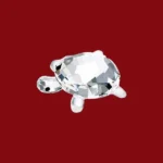 Crystal Kachua, स्फटिक कछुआ