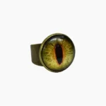 Eye Ring, नेत्र अंगूठी