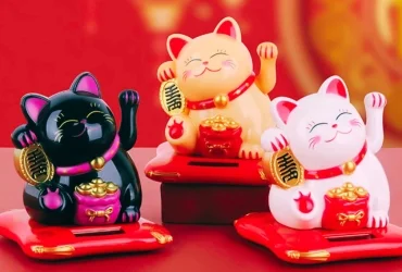 fengshui products astro mantra