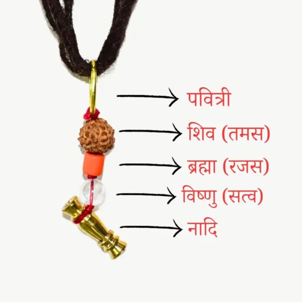 Premium Nadi Janeu, सिद्ध नादी जनेऊ